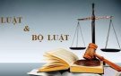 Triển khai Luật sửa đổi, bổ sung một số điều của Luật xử lý vi phạm hành chính
